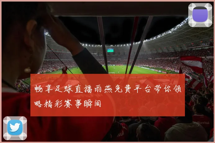 畅享足球直播雨燕免费平台带你领略精彩赛事瞬间