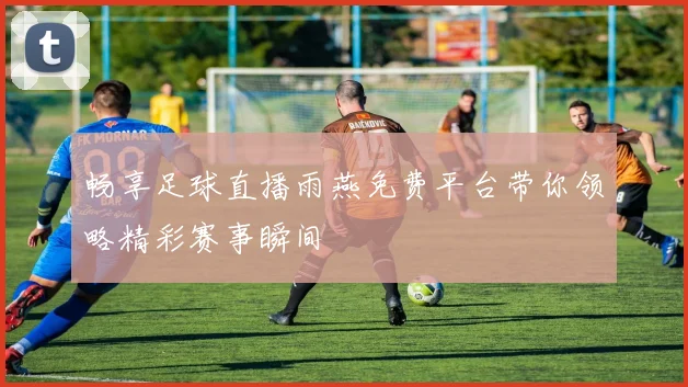 畅享足球直播雨燕免费平台带你领略精彩赛事瞬间